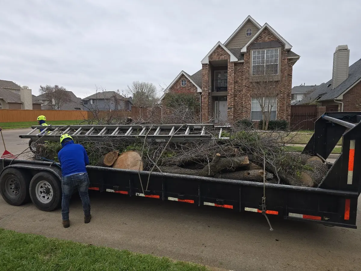 Expert Tree Pest Control with proper safety equipment in Deloit